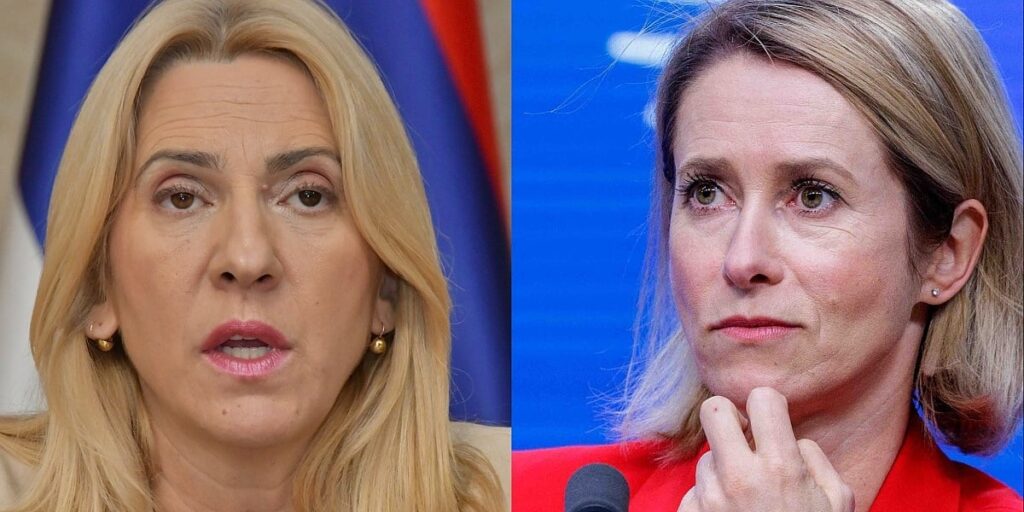 Osporila postojanje PIC-a, bonske ovlasti nazvala odvratnim
