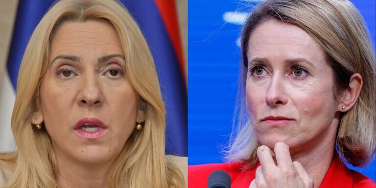 Osporila postojanje PIC-a, bonske ovlasti nazvala odvratnim