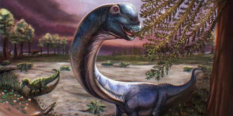 Otkriveni ostaci "posljednjeg Titana", ogromnog dinosaura dugog vrata