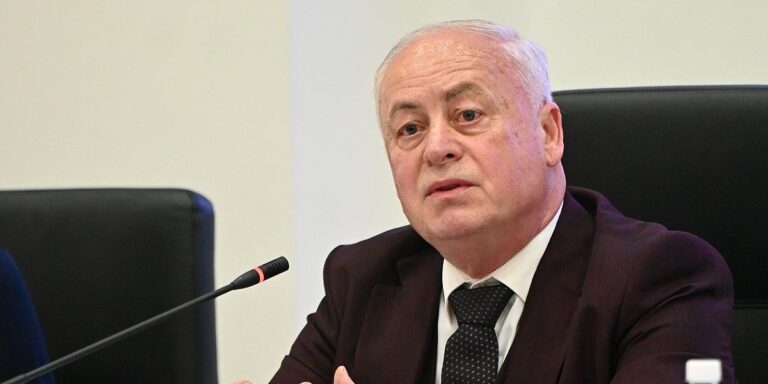 Zakoni koje je nametnuo Schmidt ne mogu biti poništeni političkom voljom