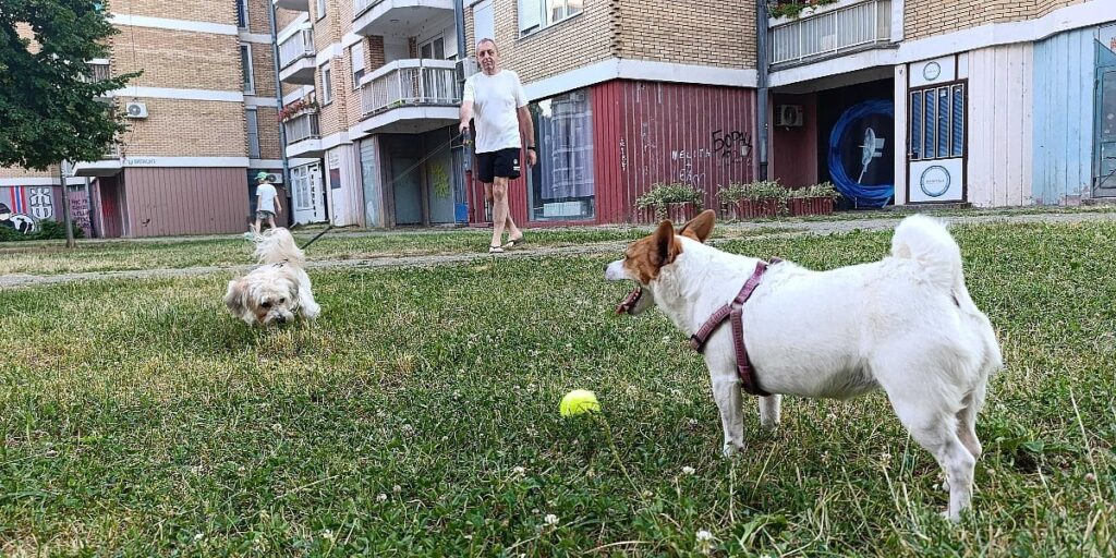 Banja Luka uvodi rigorozna pravila za vlasnike pasa i mačaka