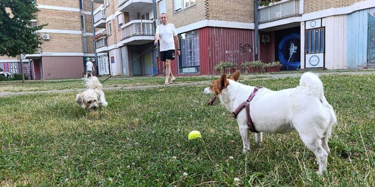 Banja Luka uvodi rigorozna pravila za vlasnike pasa i mačaka