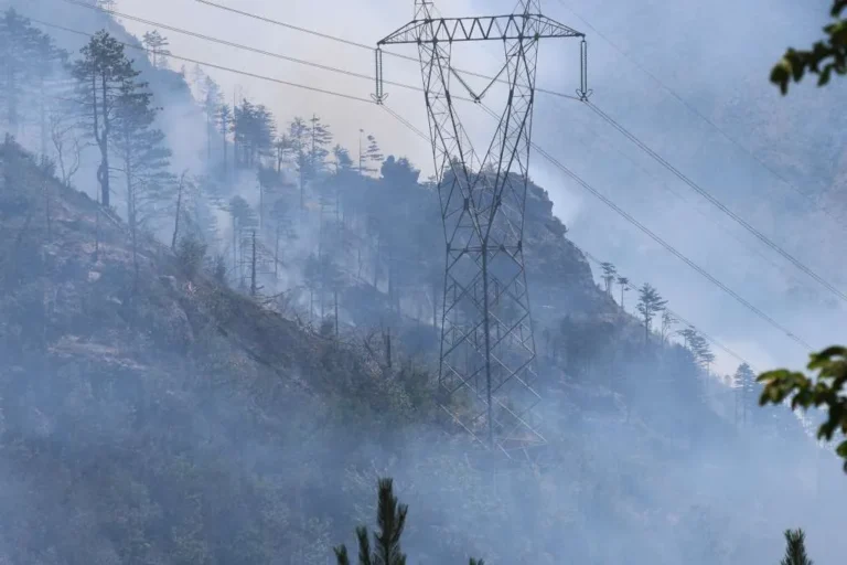 Wildfires continue across Bosnia and Herzegovina as minefields hamper firefighting efforts Minska polja otežavaju gašenje na Rujištu, vatra se širi prema selu Dubovci