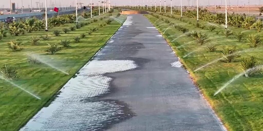 Spas vide u hibridnom sjemenu nizozemske trave