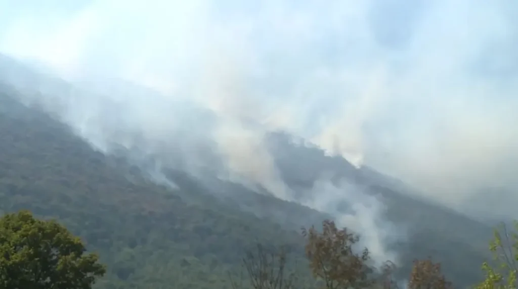 "Resursi su prenapregnuti, tražili smo pomoć OSBiH"