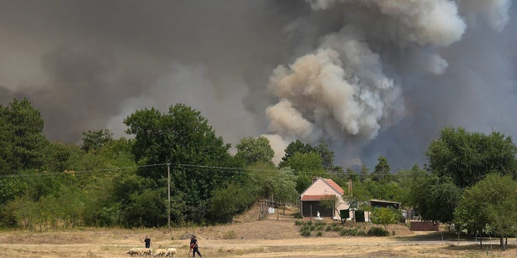 Srbija uz helikoptere i vojsku pokušava obuzdati velike požare u zemlji: Aktivno devet požarišta