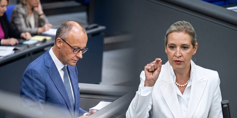 Merz optužio AfD da pod maskom "remigracije" planira etničko čišćenje