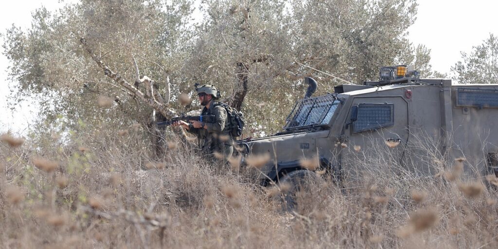 Izraelski buldožeri iščupali stotine stabala maslina na Zapadnoj obali, od čega žive Palestinci