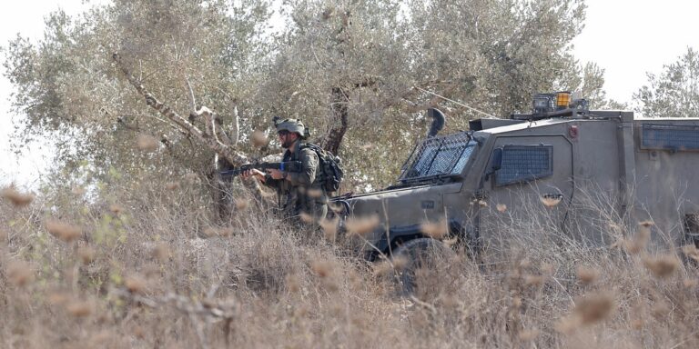 Izraelski buldožeri iščupali stotine stabala maslina na Zapadnoj obali, od čega žive Palestinci