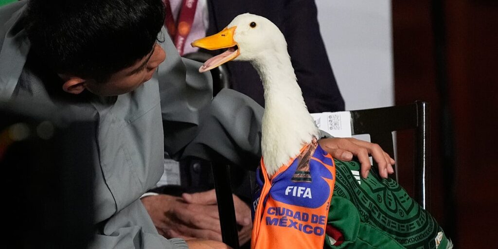 Patak Merlin zasjenio brifing predsjednice Meksika, stigao u dresu reprezentacije i FIFA-inom šalu Patak Merlin zasjenio brifing predsjednice Meksika, stigao u dresu reprezentacije i FIFA-inom šalu