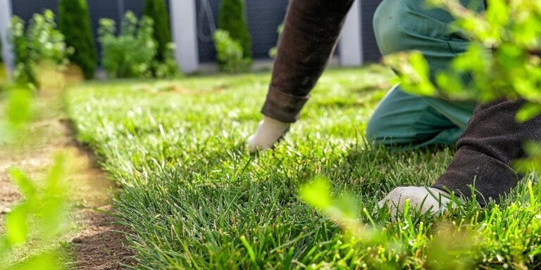 Tajna zelenije i bujnije trave u dvorištu krije se u vašoj kuhinji: Zaboravite na skupa gnojiva Tajna zelenije i bujnije trave u dvorištu krije se u vašoj kuhinji: Zaboravite na skupa gnojiva
