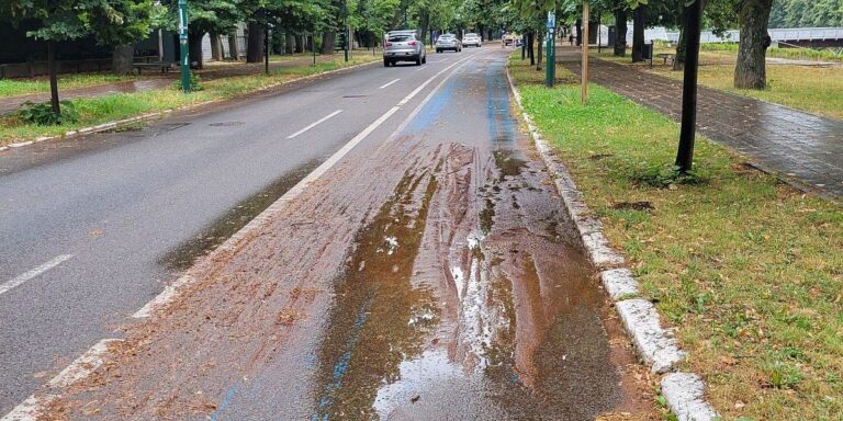 Naslage koje se nalaze na stazi nisu obično blato Naslage koje se nalaze na stazi nisu obično blato