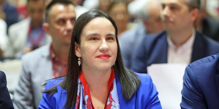 Objavit ćemo sve dokumente, vandali stalno oštećuju ogradu