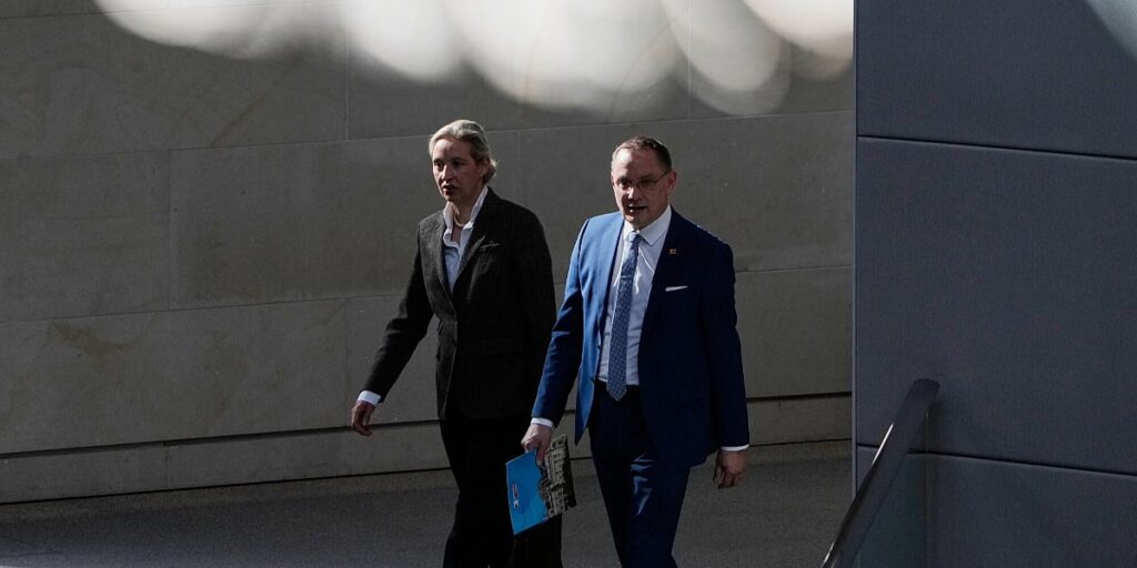 Ultradesničarski AfD cilja ulazak u vlast na istoku Njemačke pred regionalne izbore Ultradesničarski AfD cilja ulazak u vlast na istoku Njemačke pred regionalne izbore