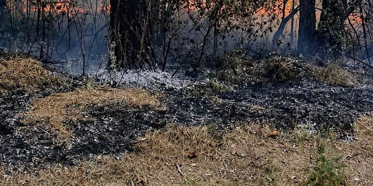 Istraga zbog požara u Bihaću, pregledaju se svi snimci sa nadzornih kamera Istraga zbog požara u Bihaću, pregledaju se svi snimci sa nadzornih kamera