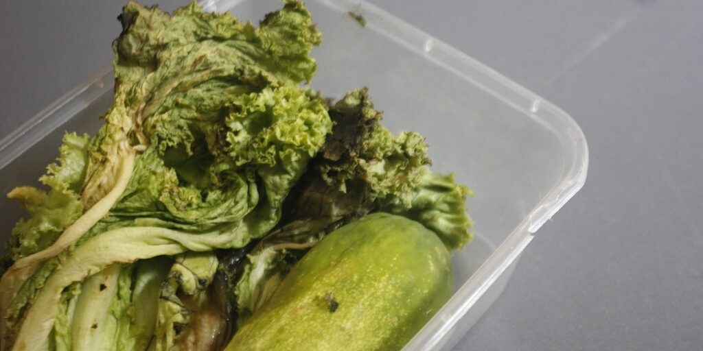 Pomoću jednog jednostavnog trika uvenula salata će ponovo biti hrskava Pomoću jednog jednostavnog trika uvenula salata će ponovo biti hrskava