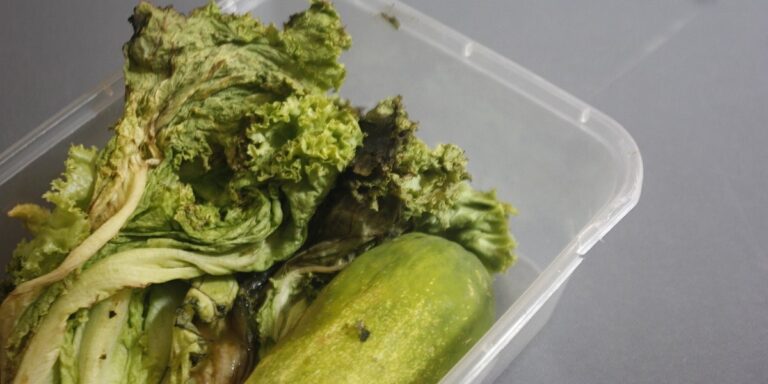 Pomoću jednog jednostavnog trika uvenula salata će ponovo biti hrskava