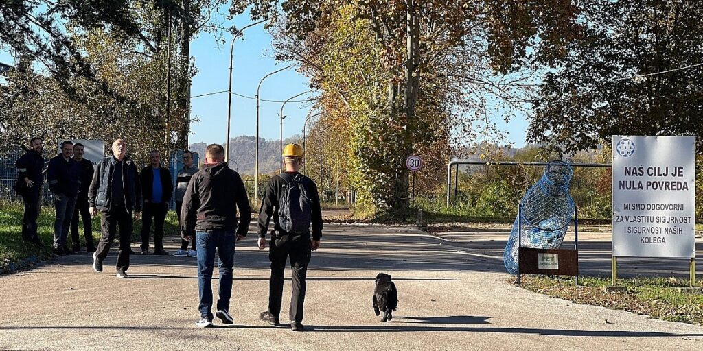 Predistražne radnje zbog poslovanja prije i tokom stečaja Predistražne radnje zbog poslovanja prije i tokom stečaja