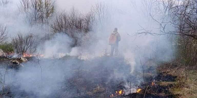 U nizu požara izgorjelo više od 75 hektara šume i rastinja
