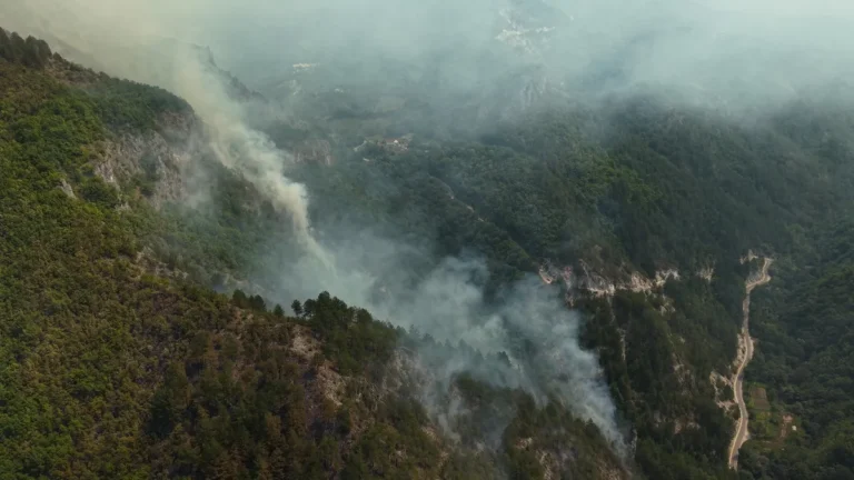 Wildfires spread across Bosnia and Herzegovina, several areas remain critical Wildfires spread across Bosnia and Herzegovina, several areas remain critical