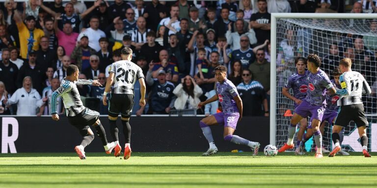 Newcastle remizirao kod kuće s Bournemouthom, Dedić odigrao čitav susret Newcastle remizirao kod kuće s Bournemouthom, Dedić odigrao čitav susret