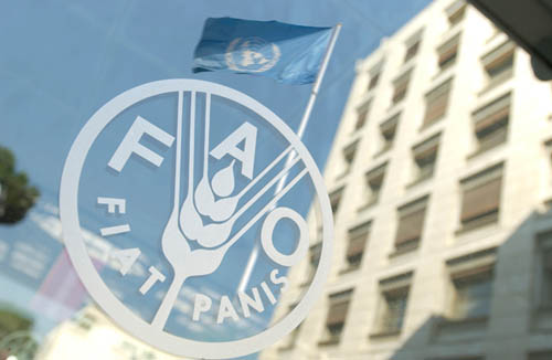 FAO indeks cijena hrane u septembru porastao 1,5%, na godišnjem nivou rast 5,8% FAO indeks cijena hrane u septembru porastao 1,5%, na godišnjem nivou rast 5,8%