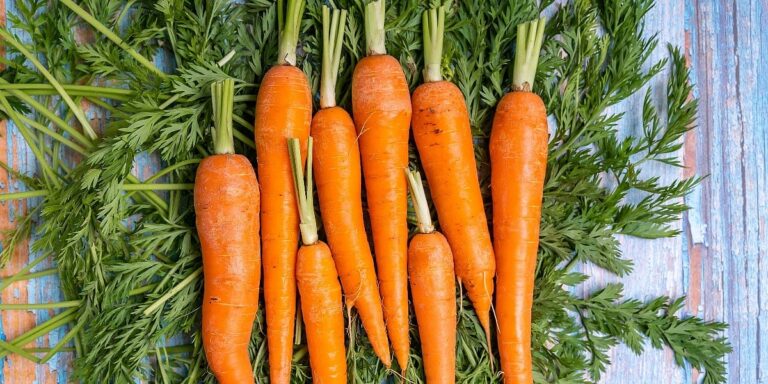 Stručnjaci objašnjavaju efekt "carrot tan"